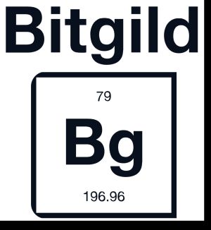 bitgild-300-300